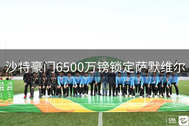 沙特豪门6500万镑锁定萨默维尔 西汉姆双星套现创英冠纪录